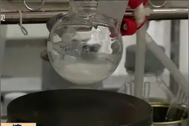 台媒：一名女研究员在P3实验室感染新冠病毒视频封面