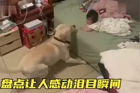盘点让人感动泪目瞬间，百看不厌，看几遍流几遍泪的那种！视频封面