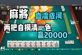 麻将血流成河，两把自摸清一色，豪取20000分数