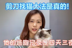 布偶出逃四天三夜，亲测剪刀大法找猫有用！