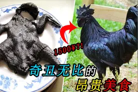 奇丑无比的昂贵美食：印尼一只全黑的鸡居然要1500人民币！