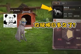 明日之后第三季：你玩明日多久了？点这个位置，就知道答案了！