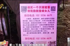 好消息！2岁白血病女孩病情稳定，预计本周可出院，父母激动落泪