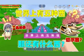 迷你世界：世界上有五种西，山西广西和中西，那还有什么西呢？