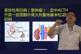 库欣综合征-临床执业医师考试创新医考白文涛老师解析笔试考点视频封面