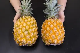 菠萝好不好，看这位置就知道，学会这个技巧，挑选的菠萝汁多又甜视频封面