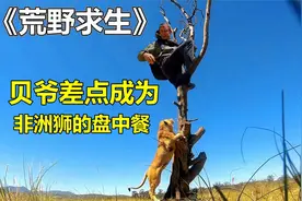 荒野求生之出逃的野兽：贝爷被非洲狮追捕，险些成为狮王的盘中餐视频封面