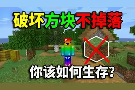 当MC中的方块不会掉落！你该如何生存？我的世界趣味生存挑战视频封面