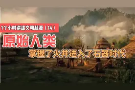 1小时讲述文明起源14—原始人掌握了火进入了石器时代