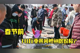 最后一个春节集市，黄河鲤鱼80元一条，摊主：家门口不能卖贵了视频封面