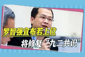 国民党“战将”罗智强宣布，若在2024上位，将修复“九二共识”