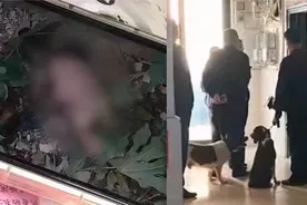 淮北职业技术学院发现一赤裸弃婴躺在草中 案件已移交刑警侦办视频封面