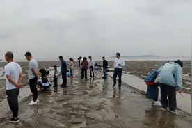 浙江海盐唯一的免费沙滩，可以下海捉螃蟹，看千年海堤视频封面