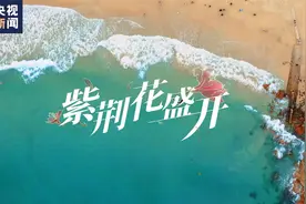 《紫荆花盛开》MV上线！一起祝福香港如紫荆花般绽放