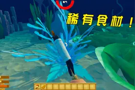 木筏求生30：我寻找到了银色海藻！据说是只存在传说的食材！