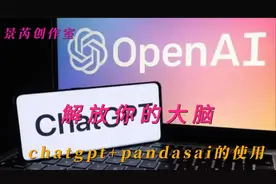 【释放大脑】chatgpt+pandasai帮你办公更轻松视频封面