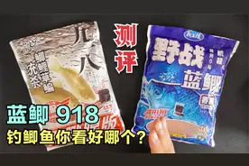 同属腥味饵的野战蓝鲫和918测评，哪个才是野钓鲫鱼心仪饵料？