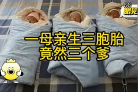 一母亲生三胞胎竟然三个爹视频封面