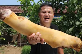 95买个白毛大牛蹄，做个“凉拌牛蹄”，Q弹劲道，下酒的绝顶好菜视频封面