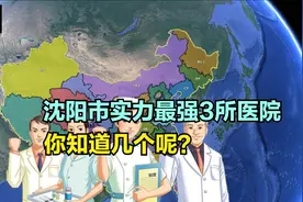 沈阳市实力最强3所医院，人民医院3，第一人民医院2，第1意料内