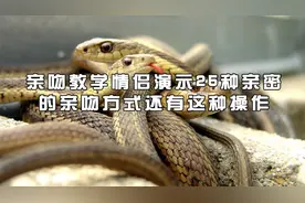 亲吻教学情侣演示25种亲密的亲吻方式还有这种操作【转载】视频封面