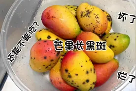 芒果熟了容易长黑斑，那长了黑斑的芒果还能吃吗？视频封面