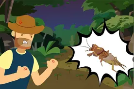 蝲蝲蛄是益虫还是害虫视频封面