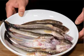 加点豆瓣酱烧出来的红烧海泥鱼，味道特别鲜香，家常红烧海鲜做法视频封面