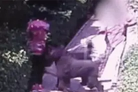 安阳“狗咬人”案遛狗女子处罚来了：老公停职，还有一恶果等她