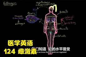 【中文字幕 全集】医学英语 124 雌激素