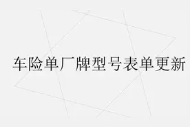 10车险单厂牌型号表单更新