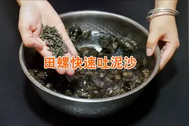 洗田螺不要只放盐，夜市摊贩教我小窍门，田螺争着吐泥沙