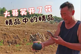 潍坊的农民今年种贝贝南瓜行情喜人啊，走进产地山东潍坊视频封面