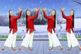 广场舞《白狐》原创一夜火爆流行唯美形体舞教学