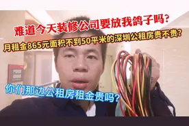 月租金865元50平米深圳公租房贵吗？你们的公租房是多少租金呢？视频封面