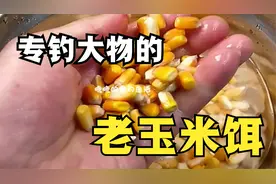泡制三天的老玉米再配上白酒，专钓野河大物，制作简单能长期储存