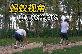 蚂蚁视角！原来是这样拍摄的，视觉效果很震撼