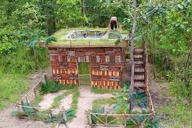 荒野兄弟用木块建造一座房子，房顶建造个游泳池！