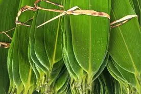 这3种粽叶千万不要买，不管有多便宜，叮嘱家人