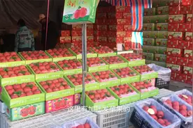 逛水果批发市场，带大家看看出产地价和平时零售价差多少视频封面