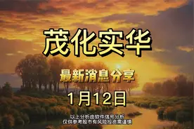 1.12 茂化实华 最新消息分享，看完绝对不吃亏视频封面