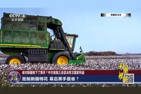 BCI是何组织，为何“盯”上新疆棉花？来听专家分析|今日关注
