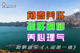 唢呐曲《人间第一情》角音养肝，疏肝解郁视频封面