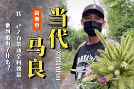 河南小伙堪称当代马良，以一己之力带动整个村子致富！视频封面