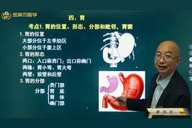 解剖学02消化系统04胃：位置、形态、分部组成，前后壁、胃底毗邻