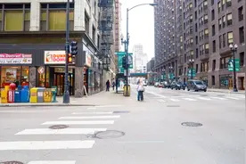 中国鼓励城市绿化，可为啥美国城市都不种植草木？看完你就知道了
