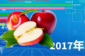 我国各省苹果产量排行榜，山东号称水果之王，和洛川比哪里的好吃