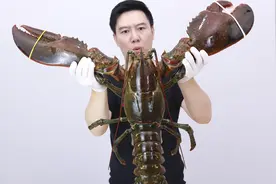 试吃百年波士顿大龙虾，光一个钳子就把我吃撑了视频封面
