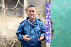 狗吐舌头是什么意思，十年训犬师分享经验，看完太受用了视频封面
