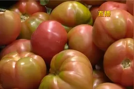 糖尿病患者可以吃西红柿吗？听听专家怎么说！视频封面